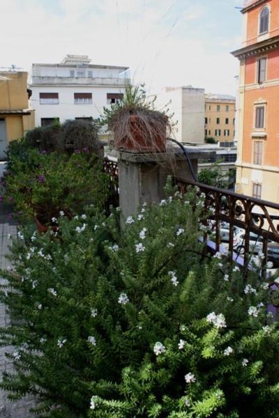 Eleven Apartment Roma Dış mekan fotoğraf